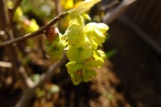 DSCF0138_R