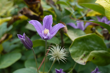 DSC09260_R
