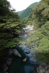 DSC09395_R