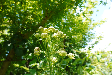 DSC09027_R