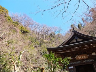 DSCF8354_R