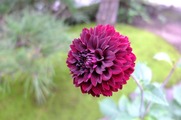 DSCF3669_R