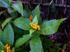 DSCF0083_R
