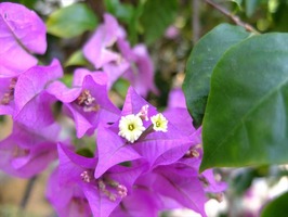 DSCF6512_R