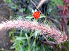 DSCF9807_R