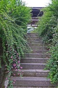 DSCF5045_R