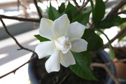DSCF5564_R
