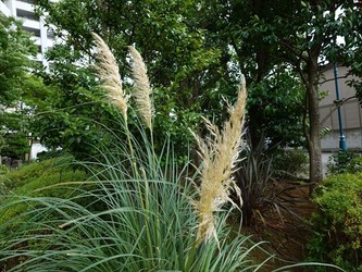 DSC01126_R