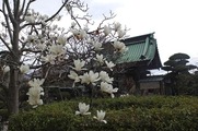 DSCF1518_R