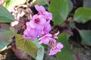 DSCF0750_R