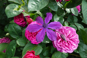 DSC07641_R
