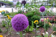 DSCF4055_R