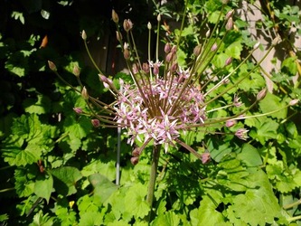 DSCF9780_R