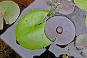 DSCF5070_R