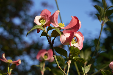 DSC06785_R