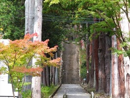 DSCF5400_R