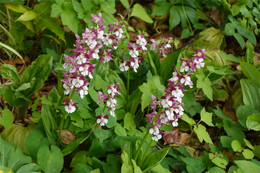 DSC06873_R