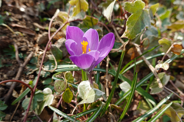 DSC00351_R