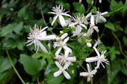 DSCF6066_R