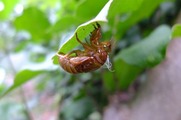 DSCF4029_R