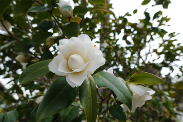 DSC05707_R