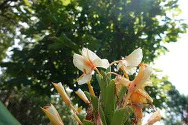 DSC09035