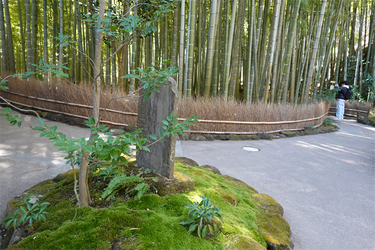 DSC00443_R