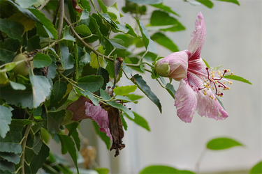 DSC00036_R