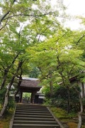 DSCF6036_R