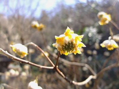 DSCF1034_R