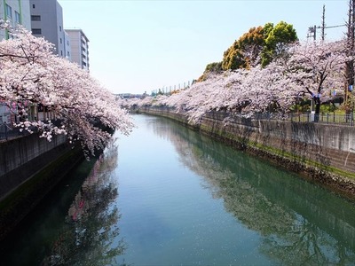 DSCF8244_R