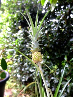 DSCF1583_R