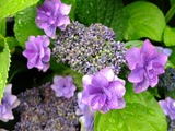 DSCF2491_R