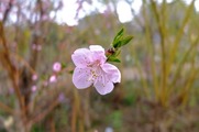 DSCF1797_R