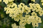 DSCF2146_R