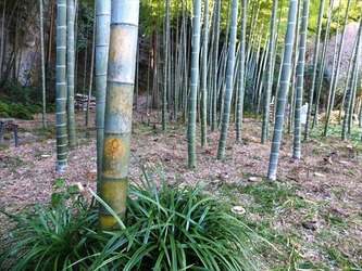DSCF8440_R