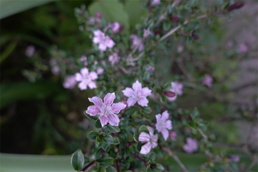 DSC05963_R