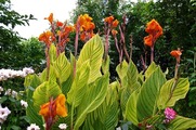 DSCF4878_R