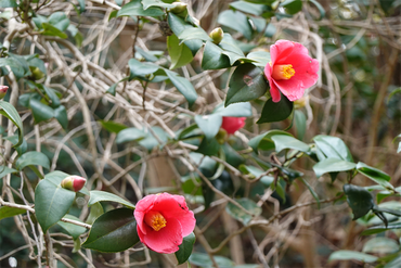 DSC05765_R
