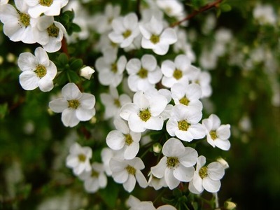 DSCF1393_R