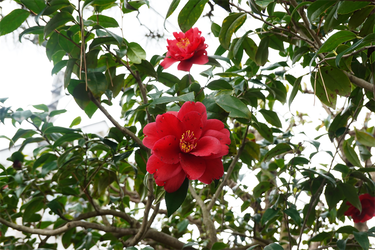 DSC05984_R