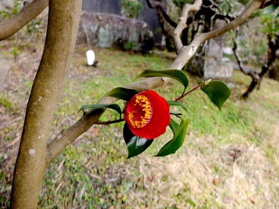DSCF1196_R
