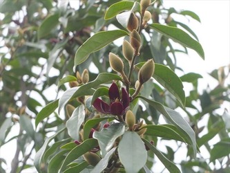 DSCF9916_R
