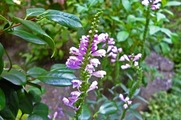 DSCF5420_R