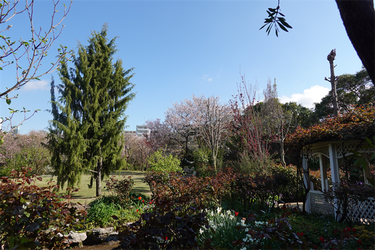 DSC06405_R