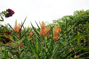 DSC08834_R