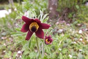 DSCF0848_R