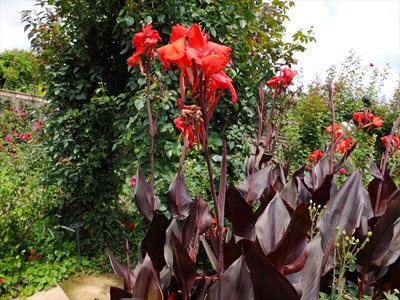 DSCF1291_R