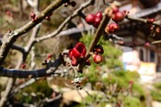 DSCF0739_R