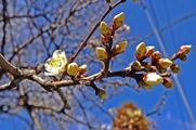 DSCF0766_R